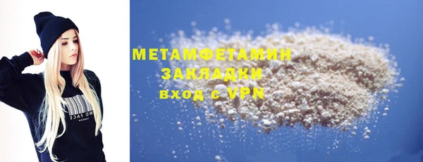 прущие грибы Костерёво