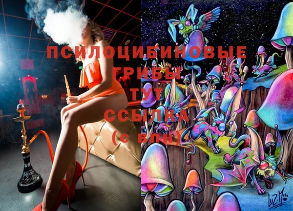 прущие грибы Костерёво