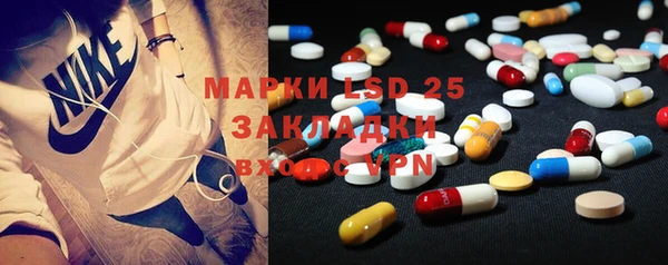 прущие грибы Костерёво