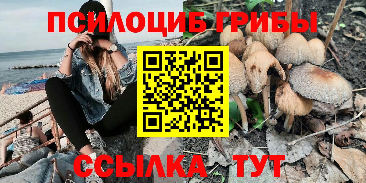 Галлюциногенные грибы мухоморы Тында