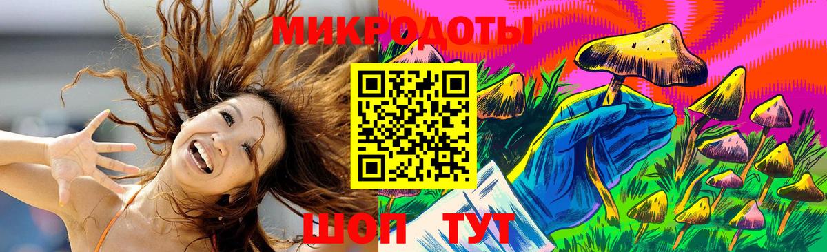 Псилоцибиновые грибы Cubensis  цены   Тында  Вход с VPN 