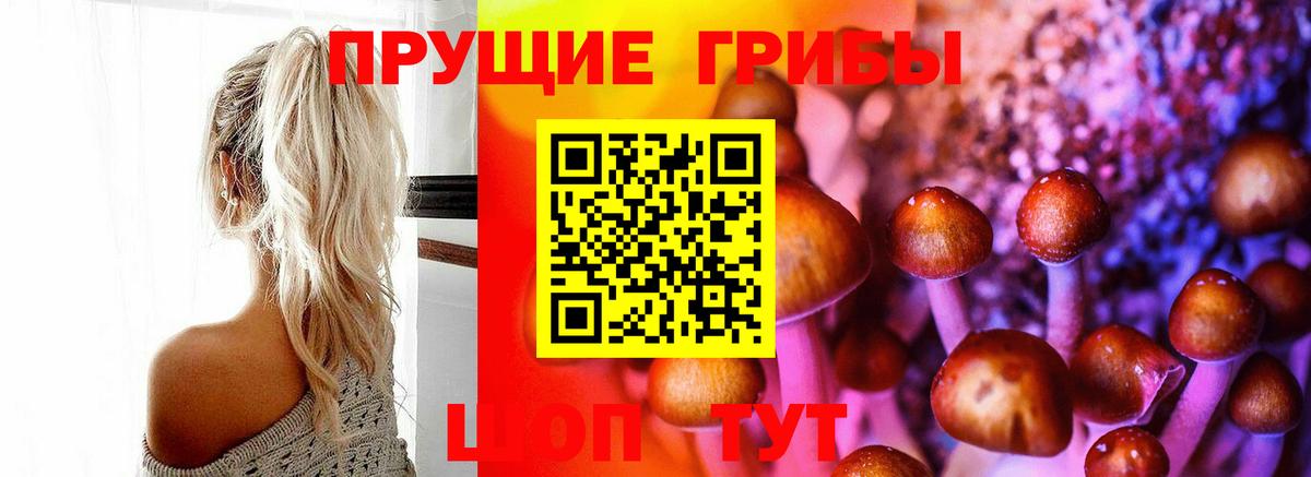 Галлюциногенные грибы Cubensis  Галлюциногенные грибы Cubensis  Тында 